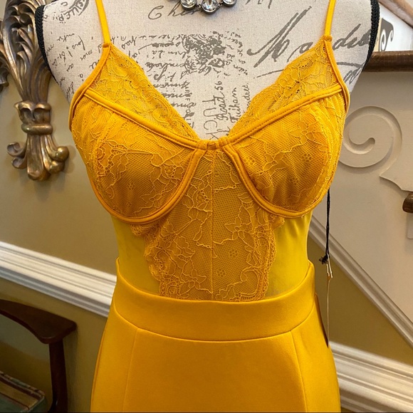 New!!! Haute Monde lace & mesh bustier dress - Picture 2 of 7